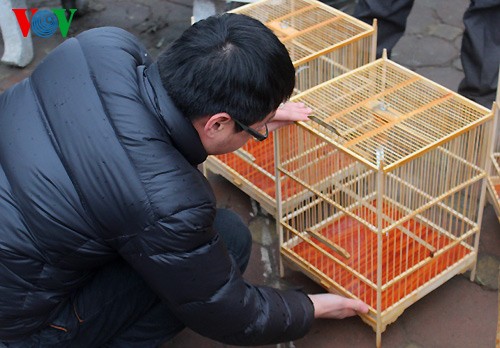 Yen Phuc bird market  - ảnh 13